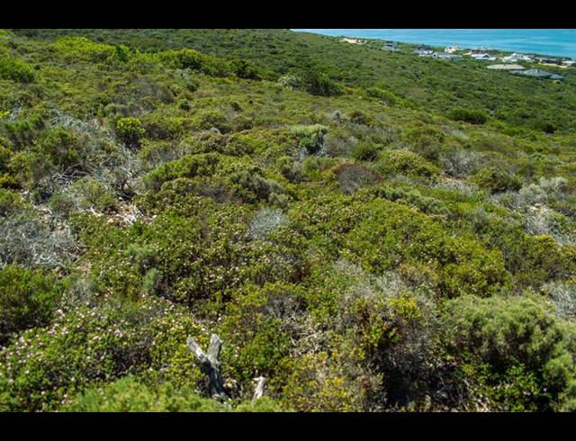 LAND FOR SALE IN MOQUINI